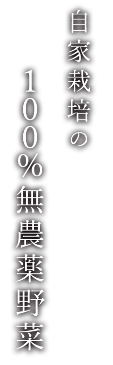 自家栽培の100%無農薬野菜