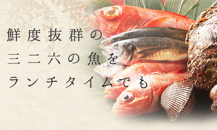 鮮度抜群の三二六の魚を