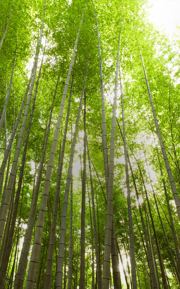 三二六別館 竹亭