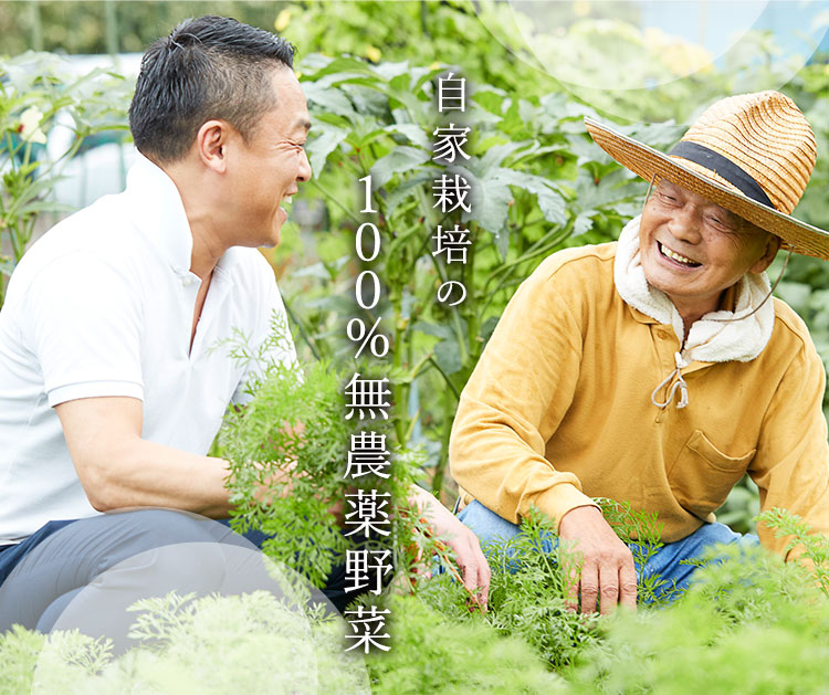 自家栽培の100%無農薬野菜